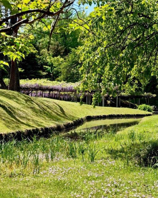 Amidst the green trees, tranquil paths lead me back home, gardens whisper peace.