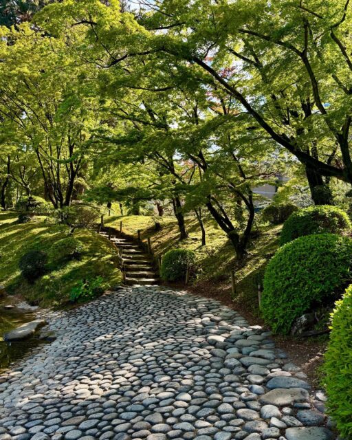 The healing power of gardens is perhaps most keenly felt in the vibrant and reflective city of Hiroshima - a testament to the resilience of humans and nature. In the Shukkeien garden a trail winds around miniature landscapes - I particularly appreciated this shady, mossy area of the garden after the museum and peace park. #healingnature #healinggardens