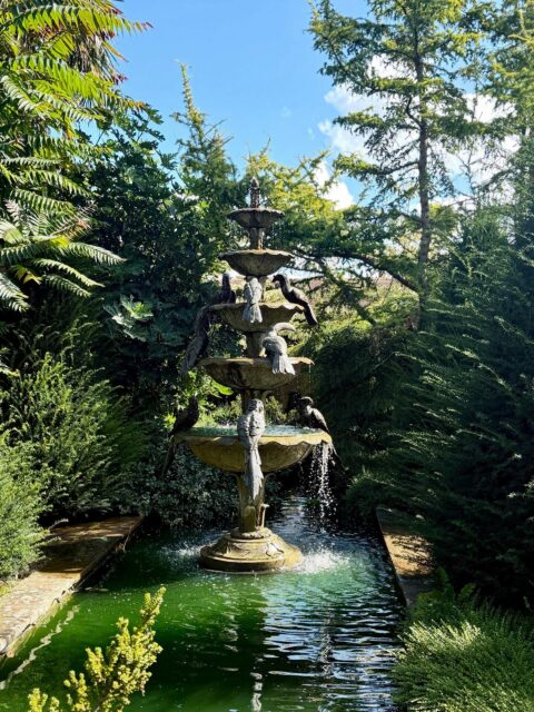 Enjoyable trip to RHS Wisley very recently. Took time to look at a few areas I visit less frequently including this tucked away garden space with brilliant water fountain and a stroll around the Pinetum. #rhswisley