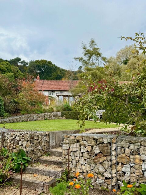 It’s always a treat to find time to revisit gardens we have designed. This week I visited one in Dorset where initial site assessment visits started back in 2018 and the garden was built in 2019. The last photos show the space before: a long sloping space of grass, hedge and fence more than 100m long with a large level change over 2m. The design split the length into three sections, which were terraced down using steps and joined together by a long curving pathway from top to bottom (the very last photo shows the rough design on plan). In each of the three sections the client wanted space to sit and enjoy the sea views. Sadly the soggy weather didn’t provide for great sea views during our visit so photographs are looking up towards the house. Materials were locally sourced limestone and oak wood. Roof and new conservatory rain water was directed away from drains to feed a new pond and bog garden thriving at the bottom of the site. This week we spent time reviewing the bones of the garden, suggesting a few very careful moves (looking forward to seeing the Stachyurus in its new location) and considered further more detailed perennial planting suggestions. Can’t wait to see this garden continue to grow and develop in harmony with the wider landscape. #Dorset #gardendesignindorset