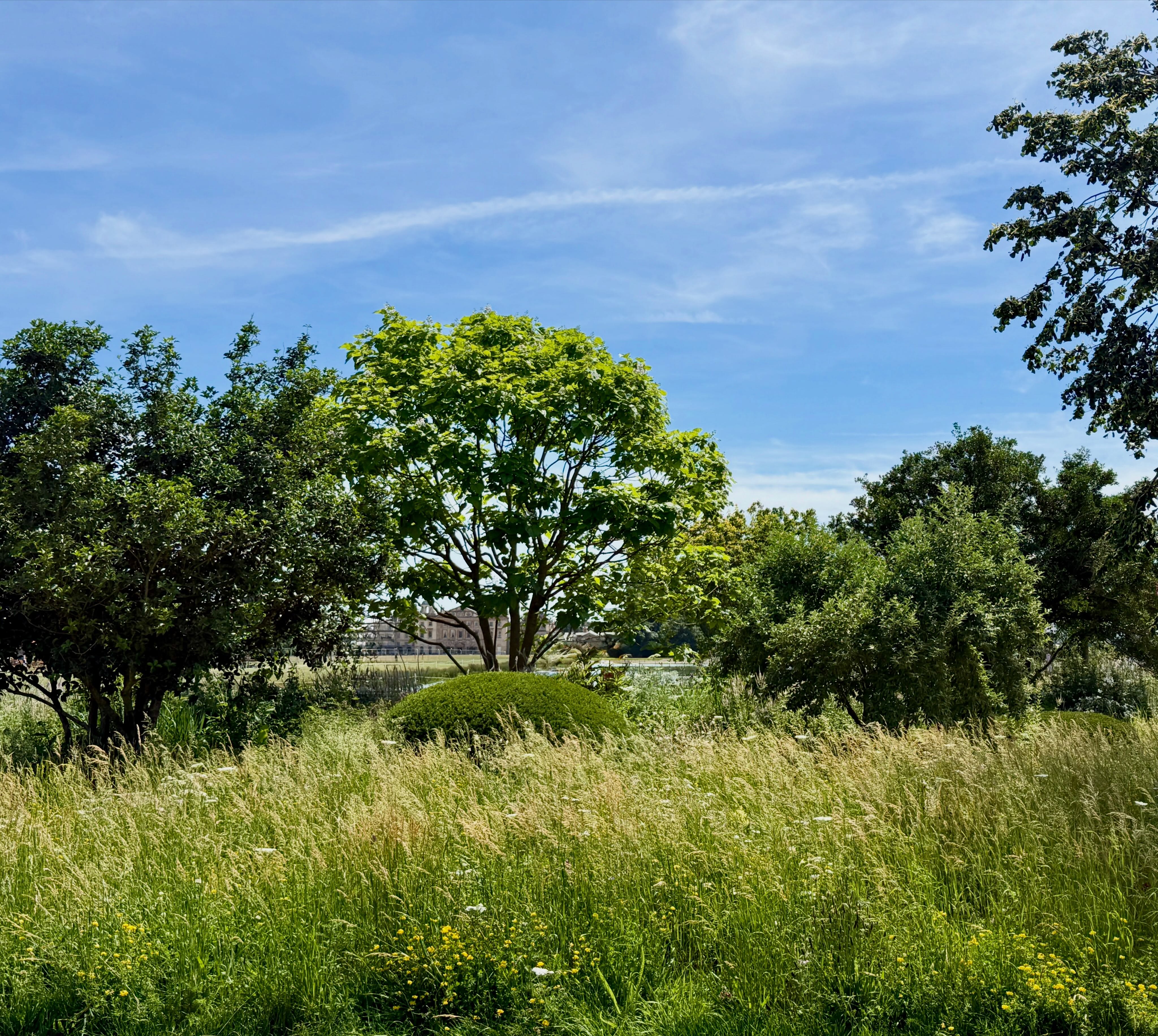 Super couple of days out of the design studio with fantastic fellow judges at RHS Badminton Flower Show.  Really well done to all Show, Artisan and Young Designer garden exhibitors for your immense hard work. Image of the Julia Rausing Garden by Tom Stuart-Smith (non judged exhibit)which looks like it’s been there forever and so beautiful with the lake and house beyond. Bravo. #rhsbadmintonflowershow2026