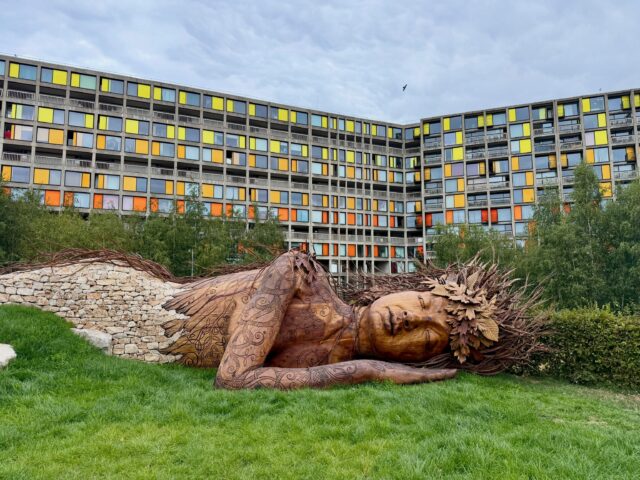 The CPRE centenary garden has found its forever home in Park Hill, Sheffield where Ethel Haythornthwaite first pioneered the countryside charity. Designed by the world class Sarah Eberle, the scale is perhaps the most remarkable. It worked at the RHS Chelsea Flower Show in a show garden yet also works in this much larger site. I also had time to walk around the extensive planting designed by James Hitchmough and Nigel Dunnett, which was holding together well, even in the brutal weather. Both landscapes are relatively close to each other and all within 10-15 mins walk from the train station. It’s incredible to see how far Sheffield has come with new developments. Growing up 25 mins away by bus, I spent most weekends during my teen years with friends enjoying the music and culture of the city. To see the landscape and architectural investment now, is heart warming. Always more to do…but every improvement matters and this special addition is beautiful. It’s been a complete privilege to be a small part of the CPRE Centenary Development Board that dared to dream that a garden celebrating the work of CPRE could come to Sheffield via RHS Chelsea Flower Show, orchestrated brilliantly by Sarah - with thanks to funding from Project Giving Back. Bravo CPRE and Bravo Sarah #CPRE